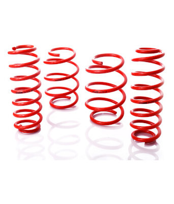 MTS Tieferlegungsfedern