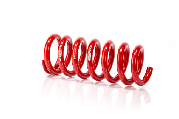 MTS Technik Ersatzteil Hilfsfeder - GWFE313HA