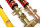 MTS Stance Gold Gewindefahrwerk passend für BMW 3 (E36) 318 is - 103 KW MTSGWBM01-S