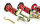 MTS Stance Gold Gewindefahrwerk passend für Toyota GR 86 coupe (ZN8) 2.4 - 172 KW MTSGWTO03-S
